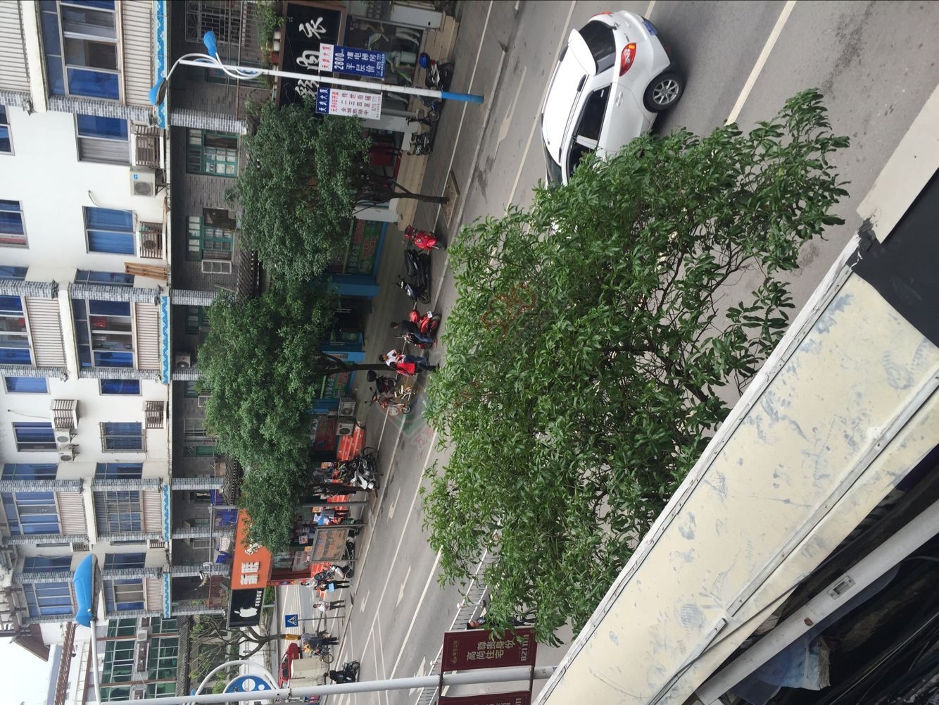 红绿灯上骂街？？！什么情况？？？642 / 作者:喜欢装点糊涂 / 帖子ID:168575