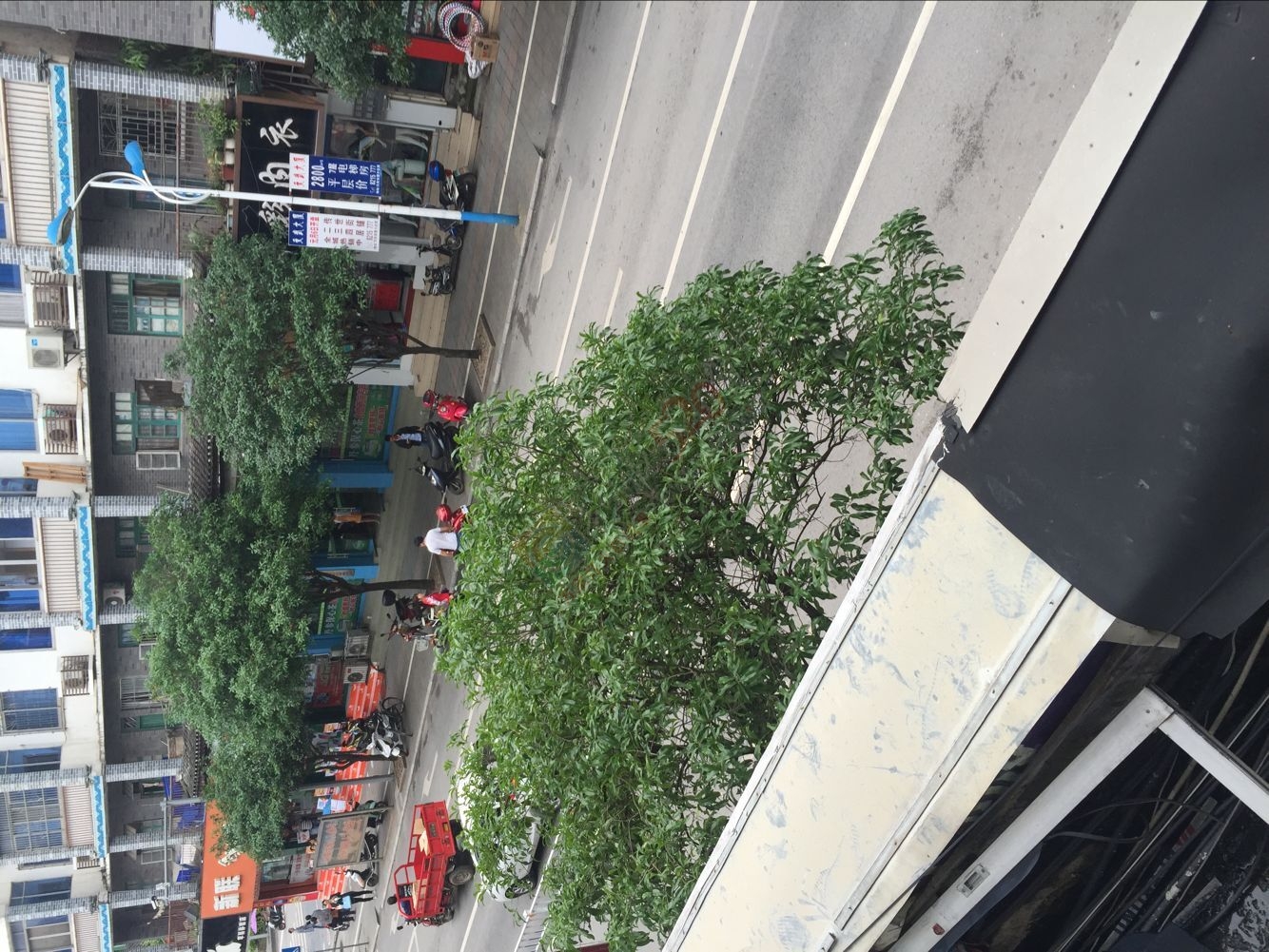 红绿灯上骂街？？！什么情况？？？291 / 作者:喜欢装点糊涂 / 帖子ID:168575