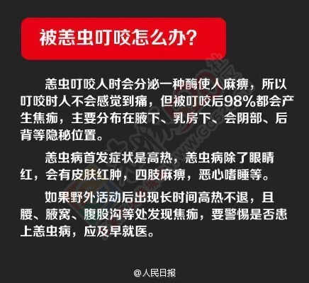 注意！这种恐怖的小虫开始活跃了，被咬一口或可致命！669 / 作者:心交朋友钱交狗 / 帖子ID:168723