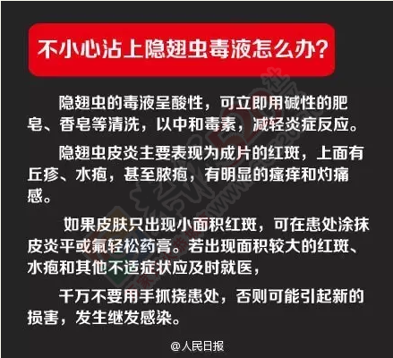 注意！这种恐怖的小虫开始活跃了，被咬一口或可致命！538 / 作者:心交朋友钱交狗 / 帖子ID:168723