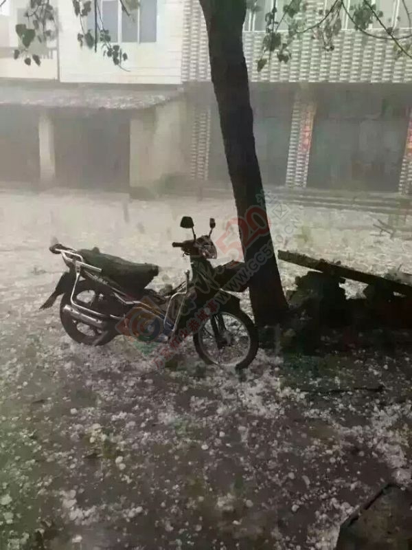 恭城今天都发生了什么？！989 / 作者:小江鱼 / 帖子ID:168763