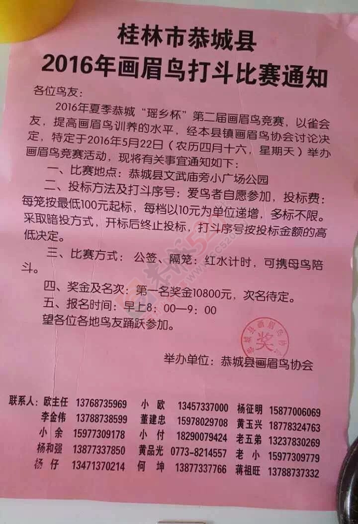 恭城画眉鸟比赛通知765 / 作者:今日恭城 / 帖子ID:168777