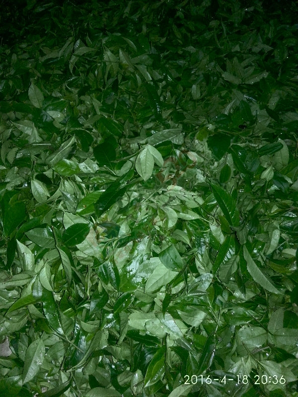 这两天捡的～有木有人要620 / 作者:寻找_Hln55 / 帖子ID:168826