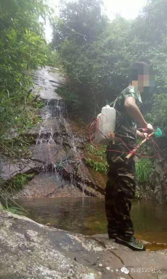 恭城观音乡水滨、狮塘一带某些村民滥捕滥杀野生动物，生态环境遭破坏881 / 作者:今日恭城 / 帖子ID:168830