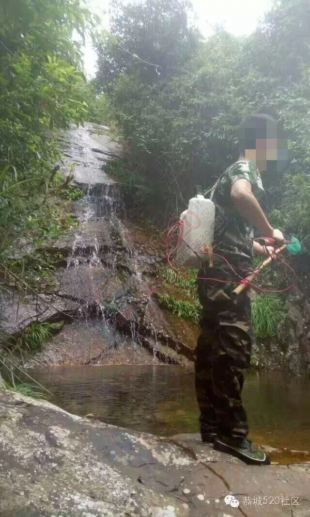 恭城观音乡水滨、狮塘一带某些村民滥捕滥杀野生动物，生态环境遭破坏25 / 作者:今日恭城 / 帖子ID:168830