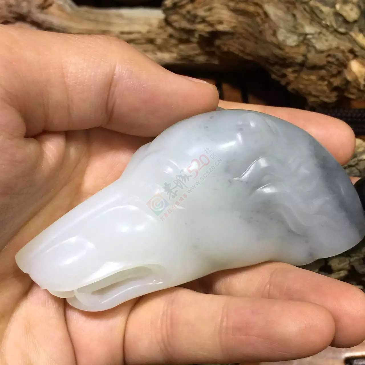 新疆和田籽料青花狼头把件739 / 作者:错了_Zfm79 / 帖子ID:169226