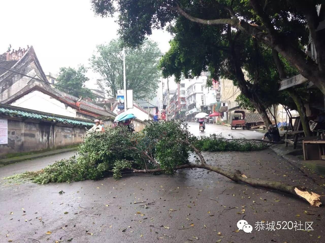走路都能遇见飞来横祸，拉废纸大货车刮落树枝砸晕路旁老人。376 / 作者:今日恭城 / 帖子ID:169270