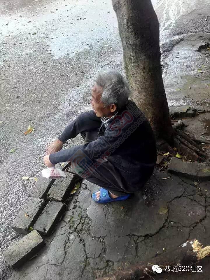 走路都能遇见飞来横祸，拉废纸大货车刮落树枝砸晕路旁老人。189 / 作者:今日恭城 / 帖子ID:169270