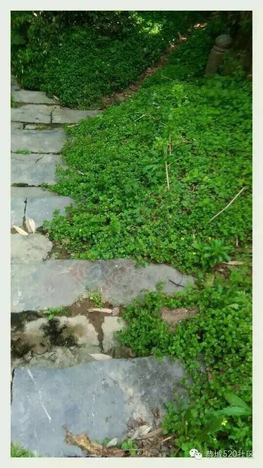 恭城燕岩村和那座记忆中的浮桥687 / 作者:今日恭城 / 帖子ID:169341