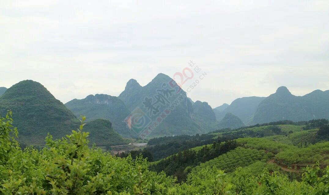 最美还是家乡山河水984 / 作者:若無其事 / 帖子ID:169395