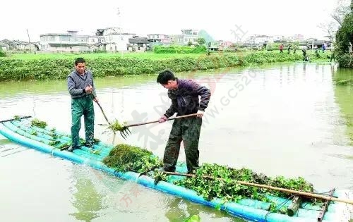 清淤河道　美化环境925 / 作者:心交朋友钱交狗 / 帖子ID:169408