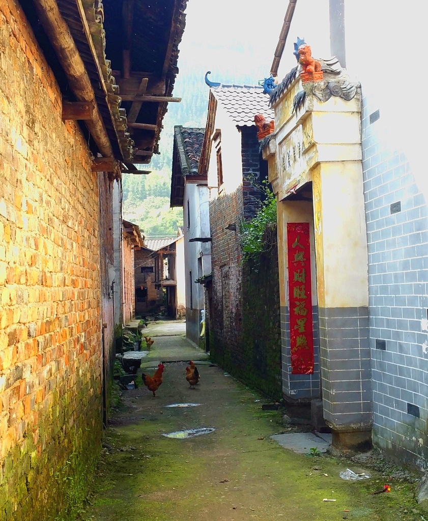 瑶乡春天里89 / 作者:奉何平川 / 帖子ID:169427