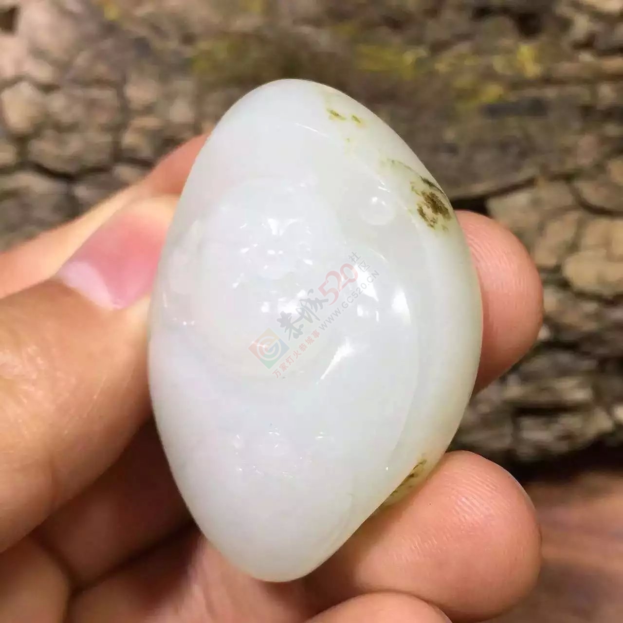 出手和田羊脂独籽弥勒佛750 / 作者:发如雪 / 帖子ID:169441