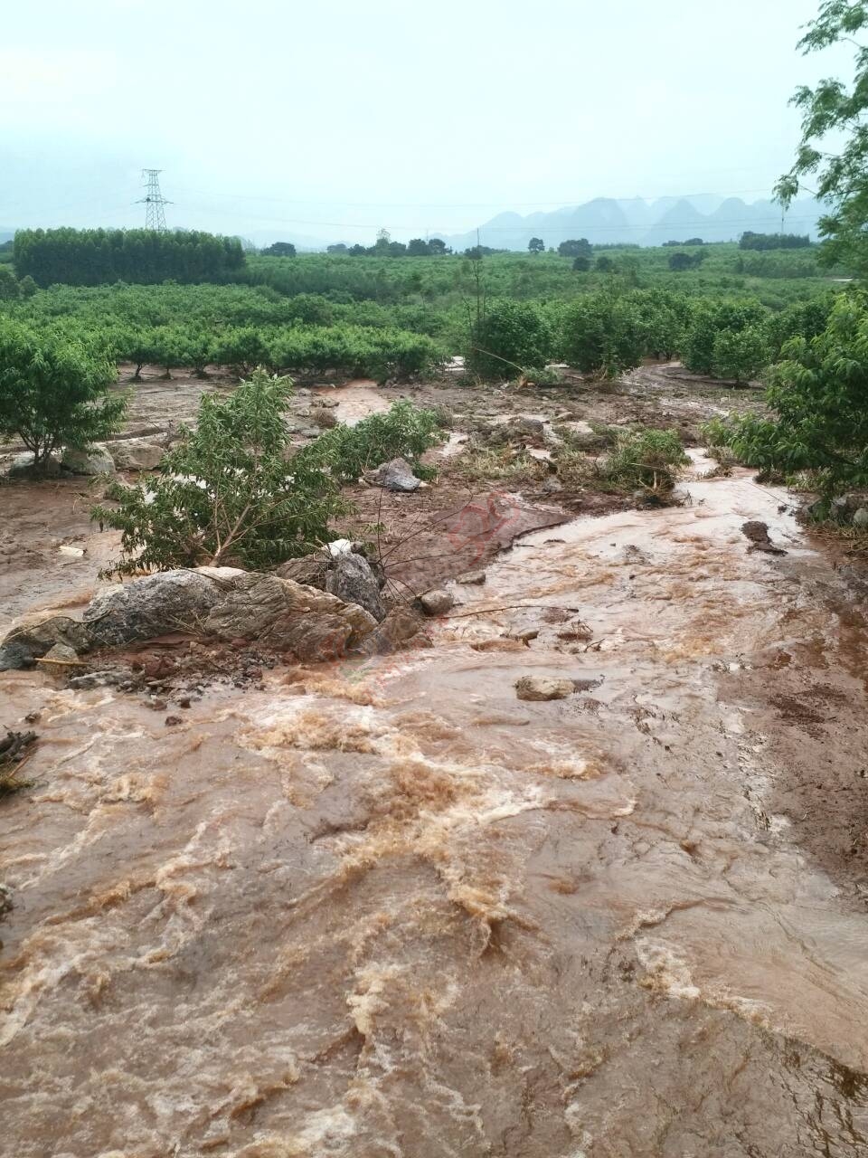 西岭乡螃蟹坝村山道水渠塌方多日无人理368 / 作者:哆来咪 / 帖子ID:169442