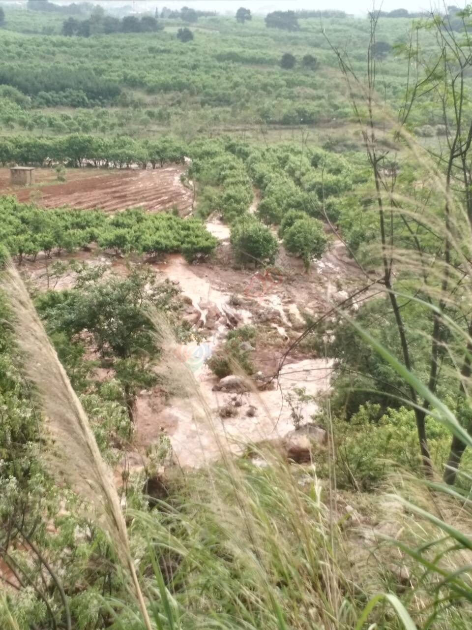 西岭乡螃蟹坝村山道水渠塌方多日无人理953 / 作者:哆来咪 / 帖子ID:169442
