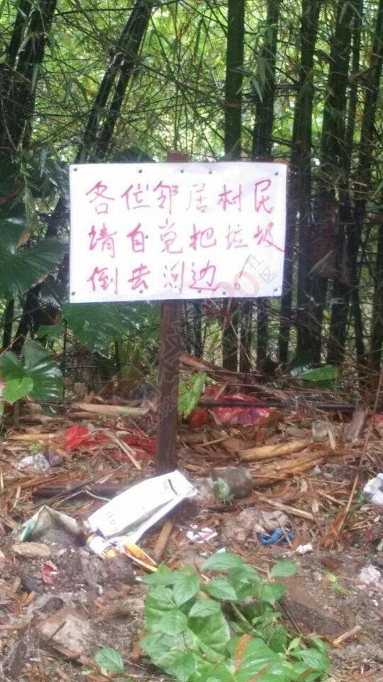 县里上有人居环境政策，凤岩下有乱倒垃圾对策！爆料需要有关部门管一管。374 / 作者:訫懐梦想 / 帖子ID:171900
