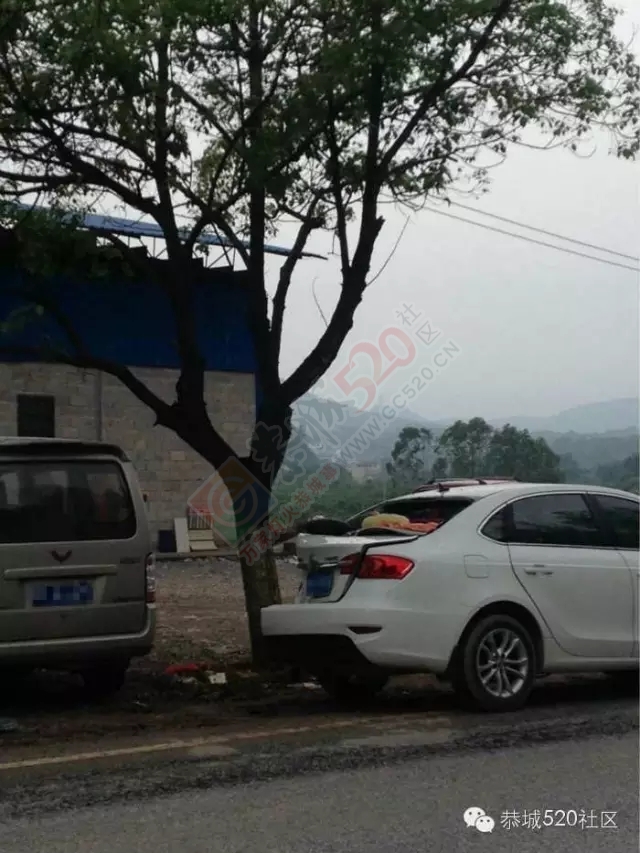 恭城满塘路口天降横祸！白色小轿车停路边被卡车轮胎砸中屁股389 / 作者:社区小编 / 帖子ID:171915