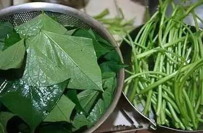 春季吃红薯，看后惊呆了……恭城人一定要告诉家人！530 / 作者:今日恭城 / 帖子ID:171955