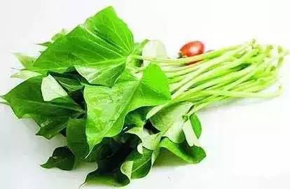 春季吃红薯，看后惊呆了……恭城人一定要告诉家人！876 / 作者:今日恭城 / 帖子ID:171955