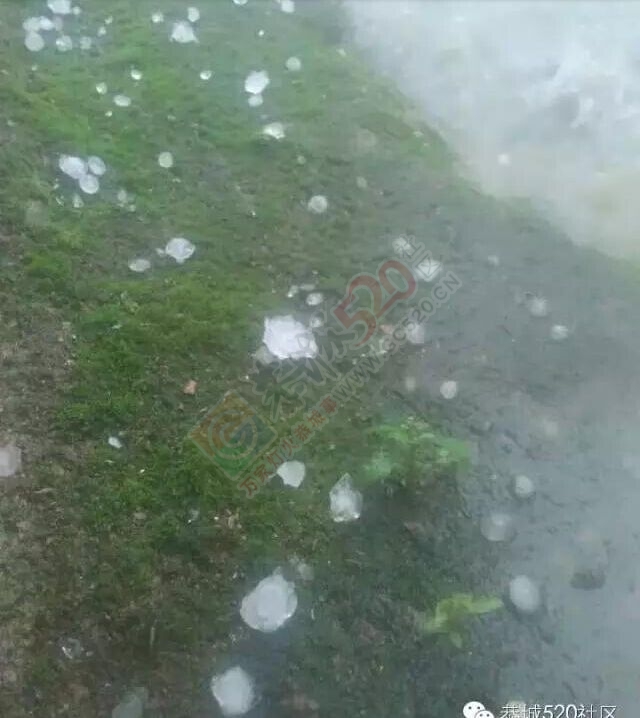 恭城:冰雹再次袭击恭城，这次光顾的是嘉会西南村平古垒。883 / 作者:心交朋友钱交狗 / 帖子ID:172086