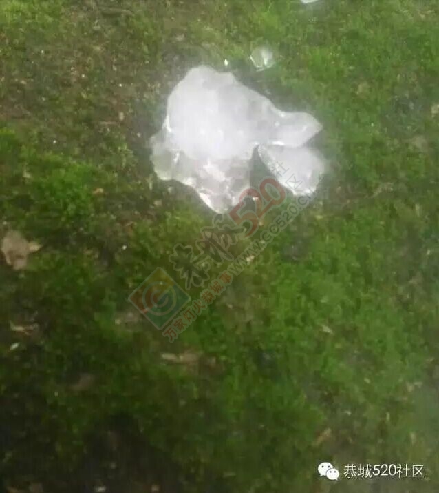 恭城:冰雹再次袭击恭城，这次光顾的是嘉会西南村平古垒。511 / 作者:心交朋友钱交狗 / 帖子ID:172086