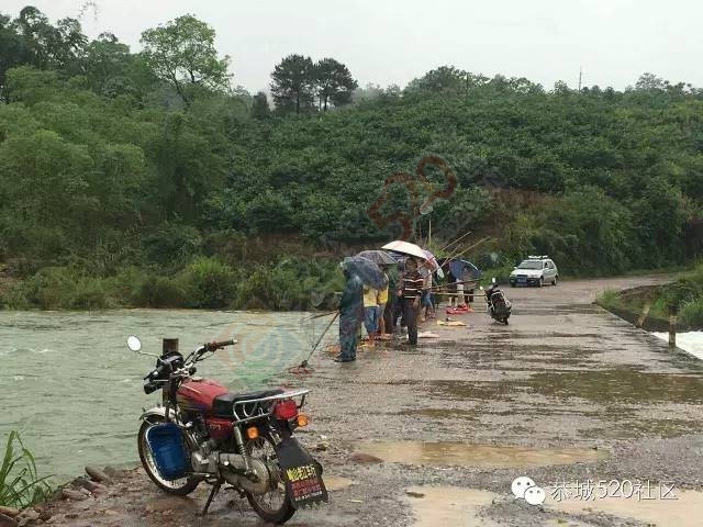 峻山水库溢洪，西岭三合群众捞鱼忙。134 / 作者:千变万幻 / 帖子ID:172485