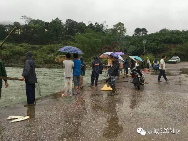 峻山水库溢洪，西岭三合群众捞鱼忙。182 / 作者:千变万幻 / 帖子ID:172485