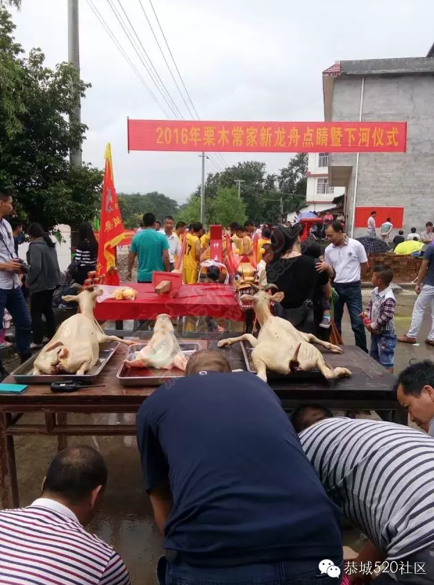 恭城栗木常家今日举行龙舟点睛暨下河仪式379 / 作者:千变万幻 / 帖子ID:172486
