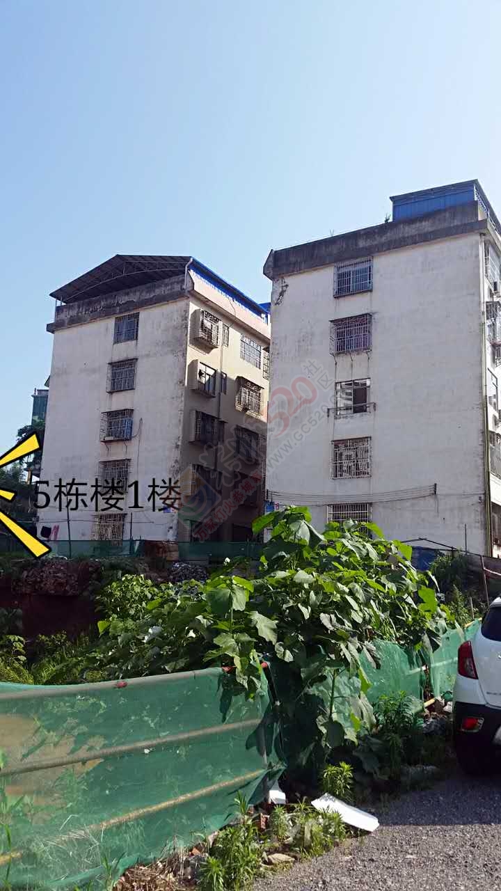 吉屋出售仅售28万，抢到就是赚到！319 / 作者:I'm彤彤 / 帖子ID:172670