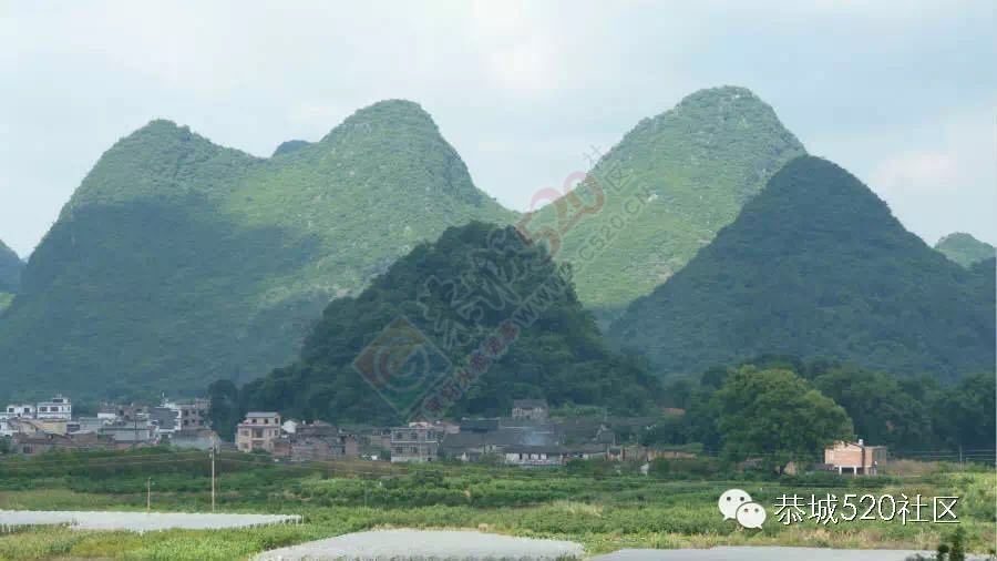 恭城520巨塘欢乐行·杀猪喜乐会活动报名了！31 / 作者:今日恭城 / 帖子ID:172746