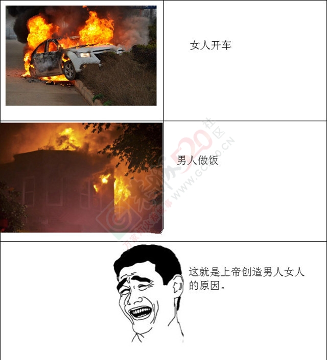 男人女人生活中的真正区别，已笑喷！544 / 作者:W520CL / 帖子ID:172849