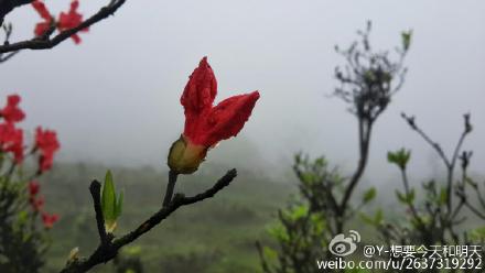 人间仙境，雾里看花——恭城三江棋盘界358 / 作者:逢时 / 帖子ID:172902