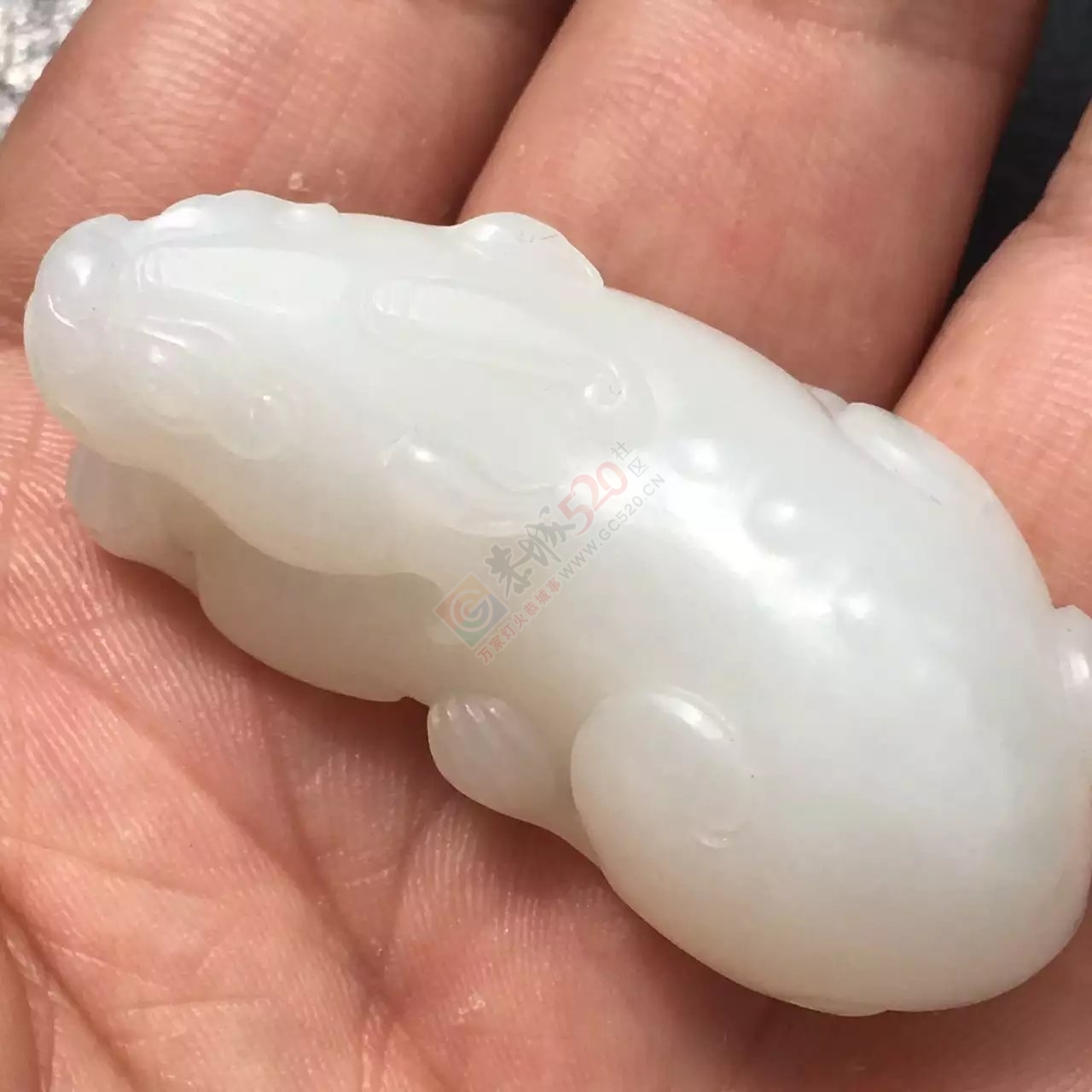 出手和田籽料羊脂玉貔貅396 / 作者:发如雪 / 帖子ID:173063