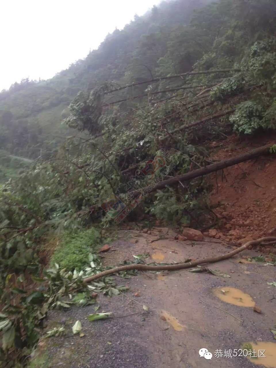 恭城5.20遭遇特大洪水各地受灾情况， 村民呼吁：希望得到有关部门重视救助度过难关316 / 作者:今日恭城 / 帖子ID:173307