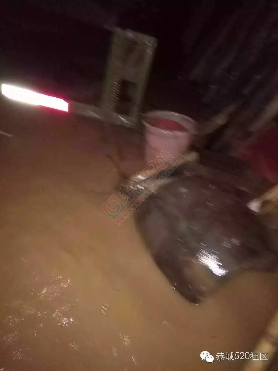 恭城5.20遭遇特大洪水各地受灾情况， 村民呼吁：希望得到有关部门重视救助度过难关666 / 作者:今日恭城 / 帖子ID:173307