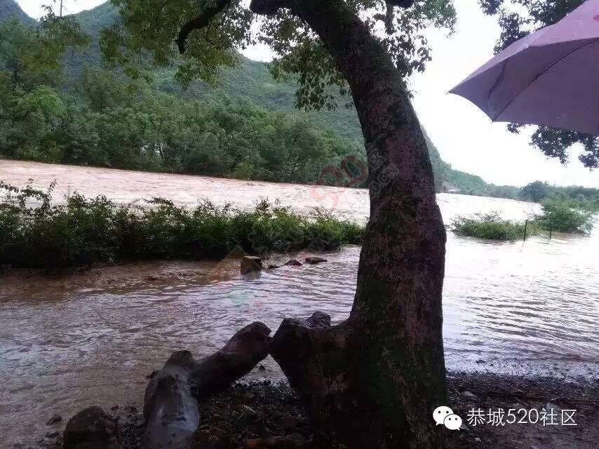恭城5.20遭遇特大洪水各地受灾情况， 村民呼吁：希望得到有关部门重视救助度过难关141 / 作者:今日恭城 / 帖子ID:173307