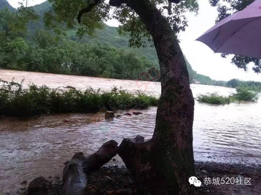 恭城5.20遭遇特大洪水各地受灾情况， 村民呼吁：希望得到有关部门重视救助度过难关419 / 作者:今日恭城 / 帖子ID:173307