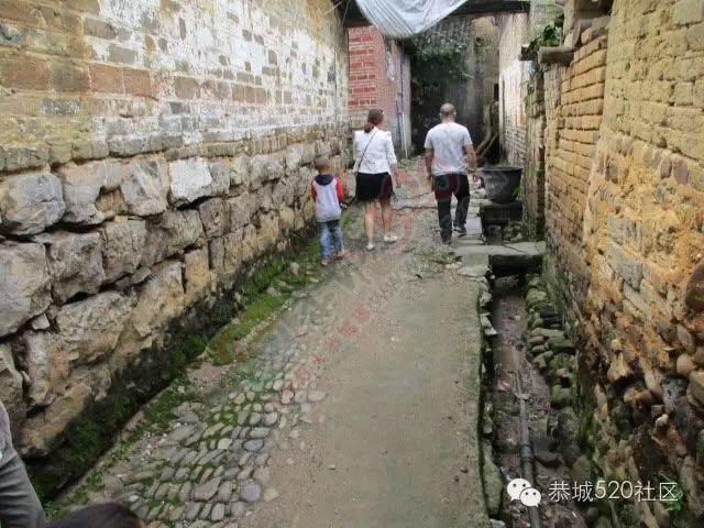 “恭城520巨塘欢乐行·杀猪喜乐会&quot;精彩现场326 / 作者:今日恭城 / 帖子ID:173309