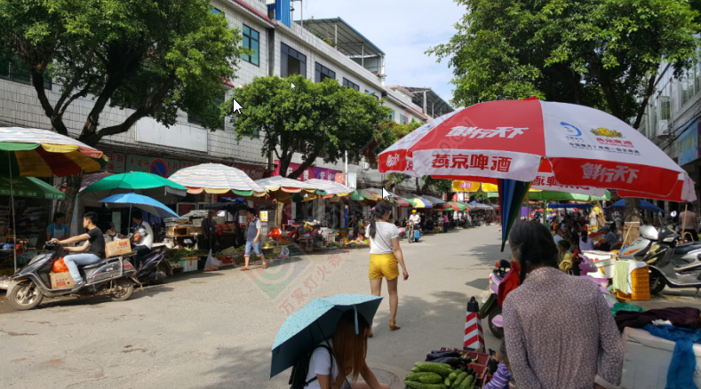 天地楼出售864 / 作者:我爽天下爽 / 帖子ID:173515