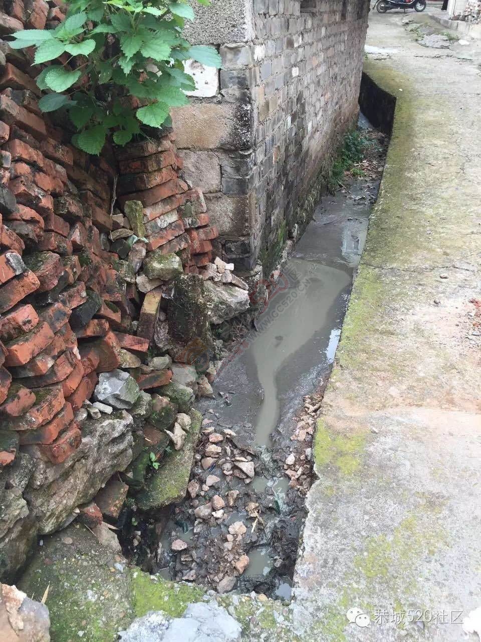 恭城茶西路二巷巷内十多年“养猪场”臭气熏天，附近居民苦不堪言！907 / 作者:今日恭城 / 帖子ID:173611