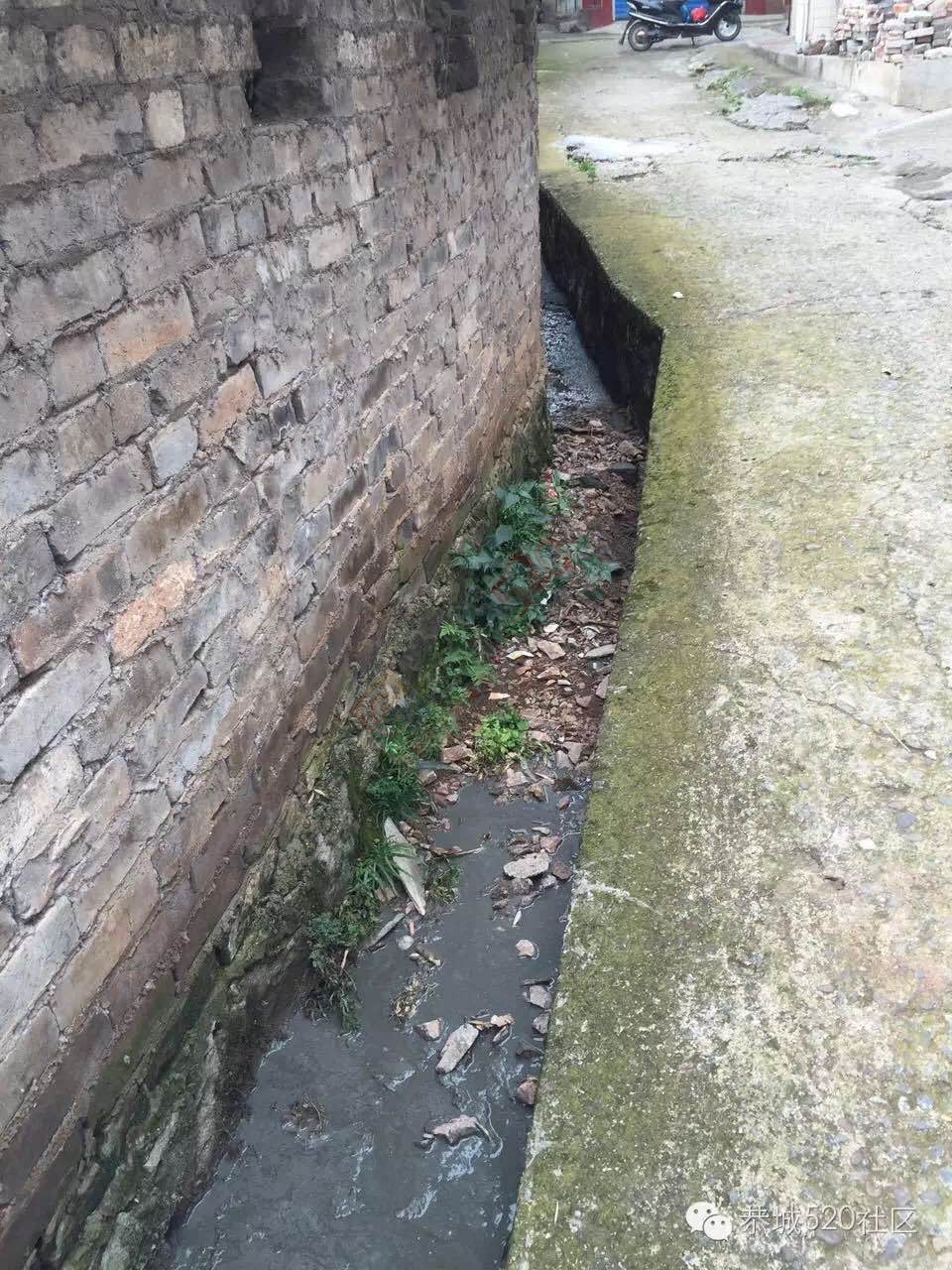 恭城茶西路二巷巷内十多年“养猪场”臭气熏天，附近居民苦不堪言！664 / 作者:今日恭城 / 帖子ID:173611