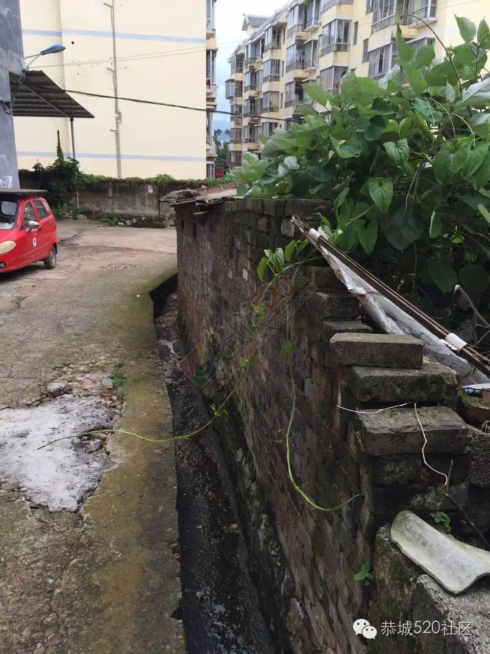 恭城茶西路二巷巷内十多年“养猪场”臭气熏天，附近居民苦不堪言！930 / 作者:今日恭城 / 帖子ID:173611