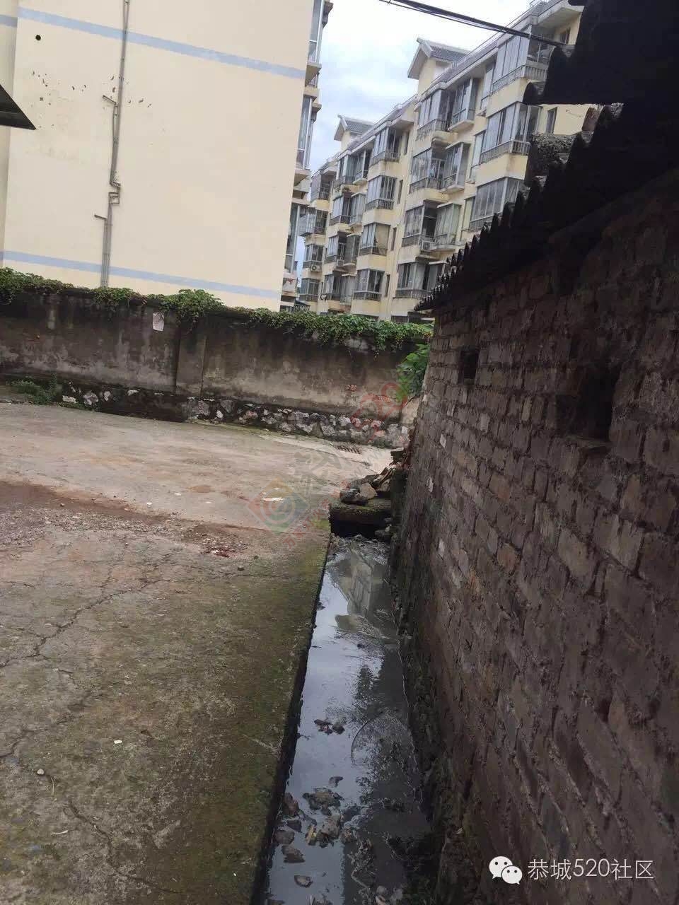 恭城茶西路二巷巷内十多年“养猪场”臭气熏天，附近居民苦不堪言！805 / 作者:今日恭城 / 帖子ID:173611