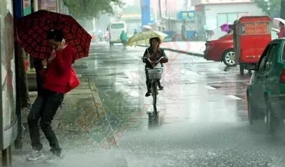 下雨天，发生在恭城街头惊人的一幕：有群开车的人.........819 / 作者:今日恭城 / 帖子ID:173733