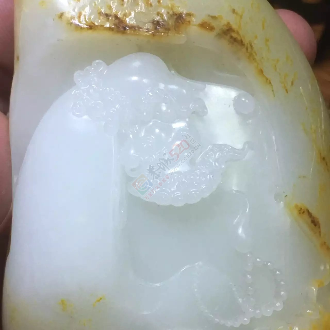 新疆和田玉洒金皮羊脂独籽达摩老祖913 / 作者:错了_Zfm79 / 帖子ID:173807