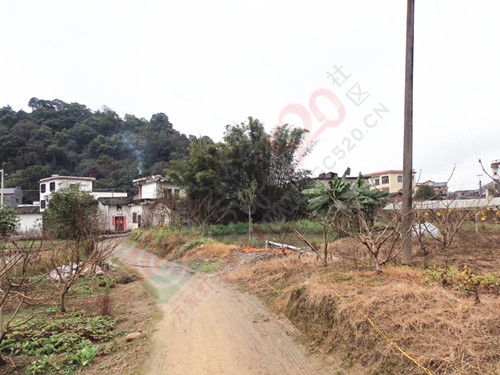 乡情百看不厌730 / 作者:陈建国 / 帖子ID:173810