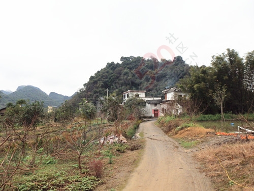 乡情百看不厌156 / 作者:陈建国 / 帖子ID:173810