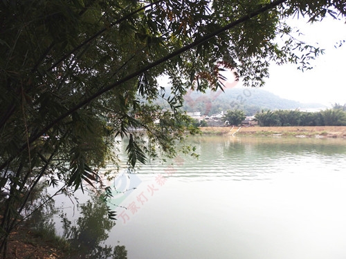 乡情百看不厌488 / 作者:陈建国 / 帖子ID:173810