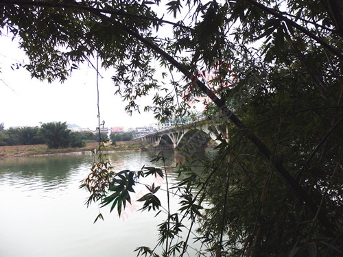 乡情百看不厌116 / 作者:陈建国 / 帖子ID:173810