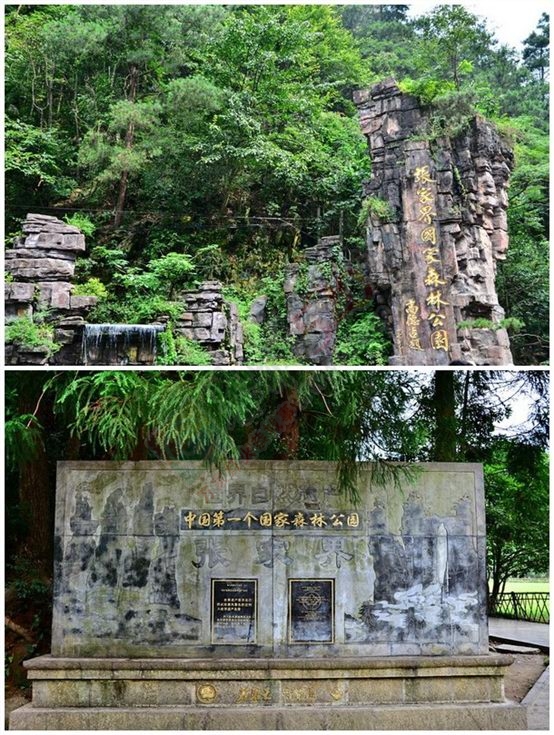 张家界之旅98 / 作者:李丽璇璇 / 帖子ID:173815